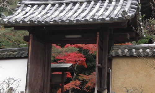 酬恩庵・一休寺