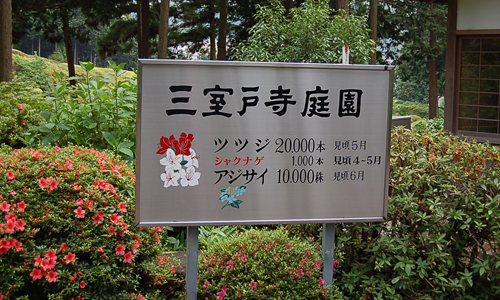 三室戸寺