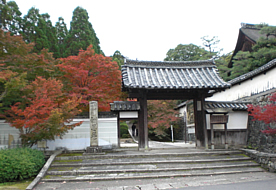 京田辺市／酬恩庵・一休寺