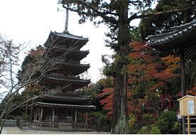 木津川市加茂町／海住山寺